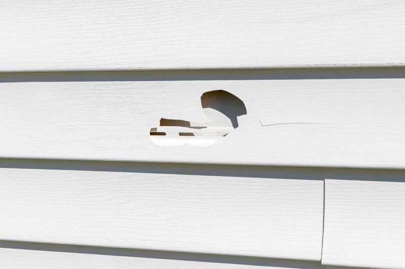 House Siding Repair