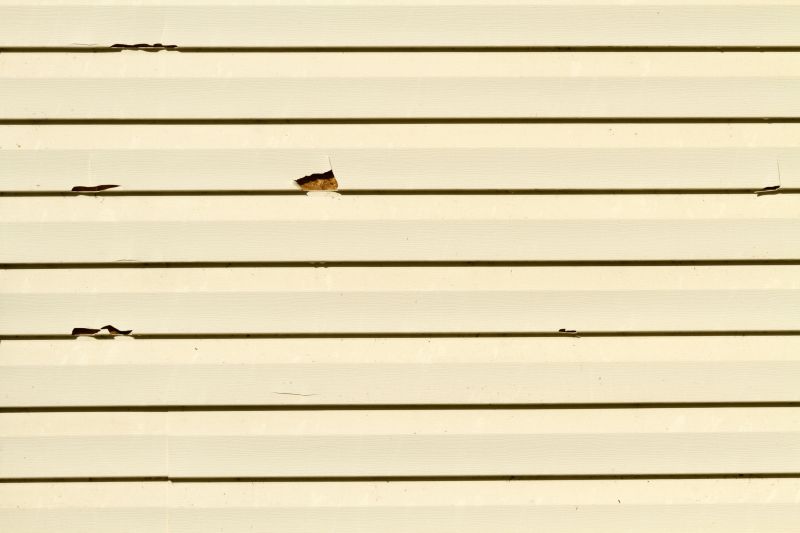 Assessment of Damaged Siding
